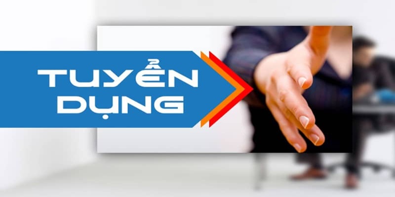 Các vị trí tuyển dụng là gì?